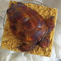 turtle cake 