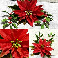 Poinsettia and holly 