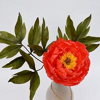 Wafer paper peony