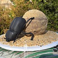 Dung Beetle Cake