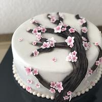 Sakura cake