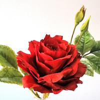Free-formed sugar Red Rose