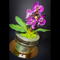 Orchids pot cake