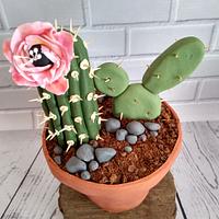 Torta cactus - Decorated Cake by Yesiyodra90 - CakesDecor