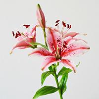 Starglazer Lilly- botanical correct free-formed sugar plant- 3rd lesson on "Le Must" class
