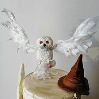 Harry Potter cake