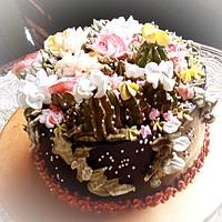 Terrarium cake 