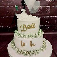 "Bachelorette party cake & cake pops"