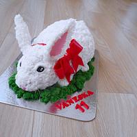 Bunny cake 