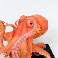 Octopus Sculpted Cake