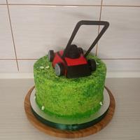 Lawnmower cake