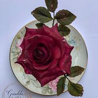 Rosas 💕 Rosas 💕