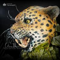 Sri Lanka's Leopard