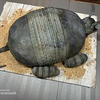 Armadillo Groom's Cake