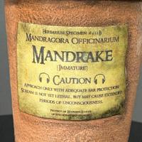 Cake topper Mandrake 🌱