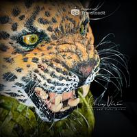 Sri Lanka's Leopard