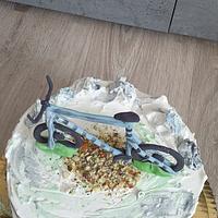 bicycle cake