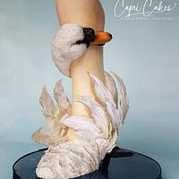 Beauty of an Swan, The Crazy Shoe Collaboration 