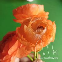 Wafer paper Ranunculus