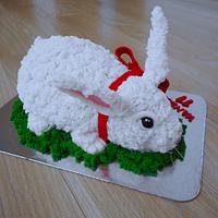 Bunny cake 