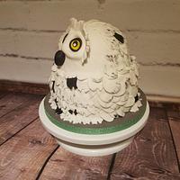 Harry Potter Hedwig Cake