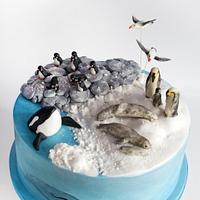 Antarctica birthday cake