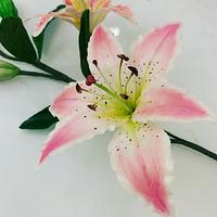 Lily flowers 