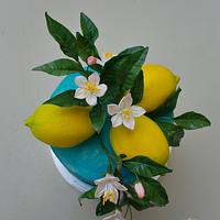 Lemons for Krasi 🍋🍋🍋