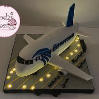 EgyptAir 3D Airplane Cake