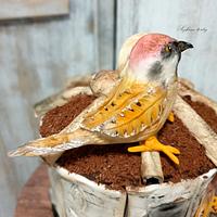 Hungry sparrow::))