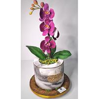 Orchid pots cake 