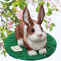 🐇 Rabbit cake 🐇 