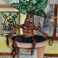 Harry Potter-Magical Cake Collaboration-Mandrake