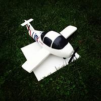 3D airplane cake