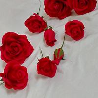 Rose rosse per te