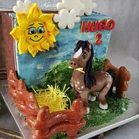 horse for birthday