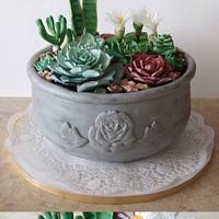 Succulent cake 