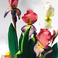 Flowerpaste Iris