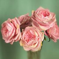 Bouquet of David Austin Roses, wafer paper 