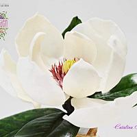 The Edible Garden - Magnolia Grandiflora ❤️