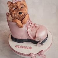 Dog in shoe 