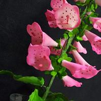 Foxglove gum paste flower