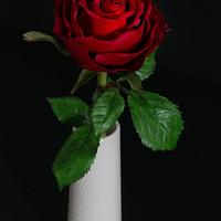 Scarlata sugar Red Rose