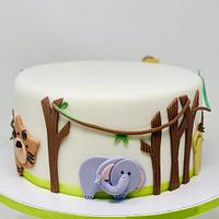 Savana Cake