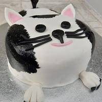 CAT CAKE