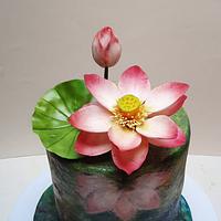 Lotus cake with reflection in water