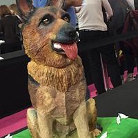 German Shepherd dog  cake 