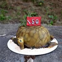 Sweet tortoise:::)))