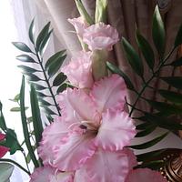 Gladiolus flowers 