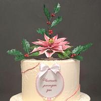Cake with Christmas star